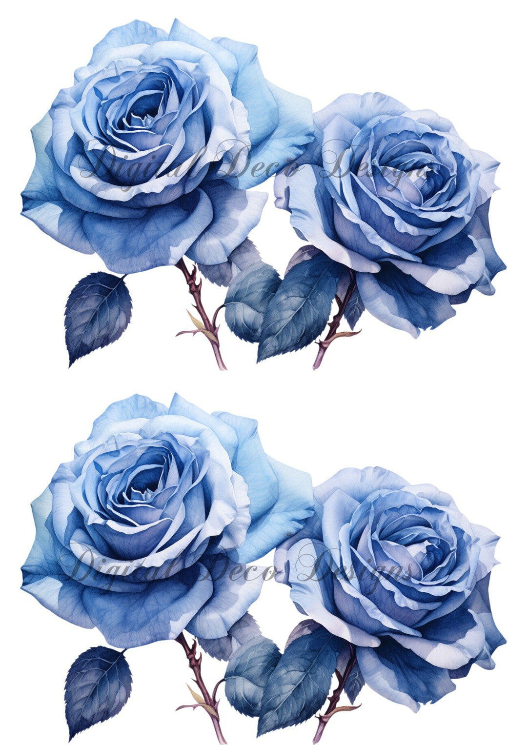 Blue Rose Bouquet Combo Duo 1 (#A044)