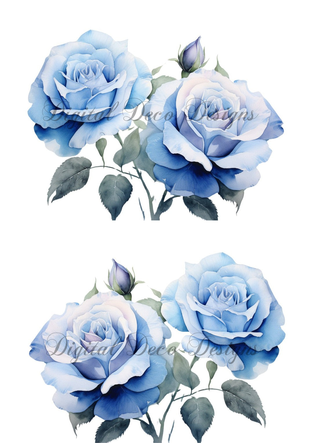 Blue Rose Bouquet Combo Duo 4 (#A047)
