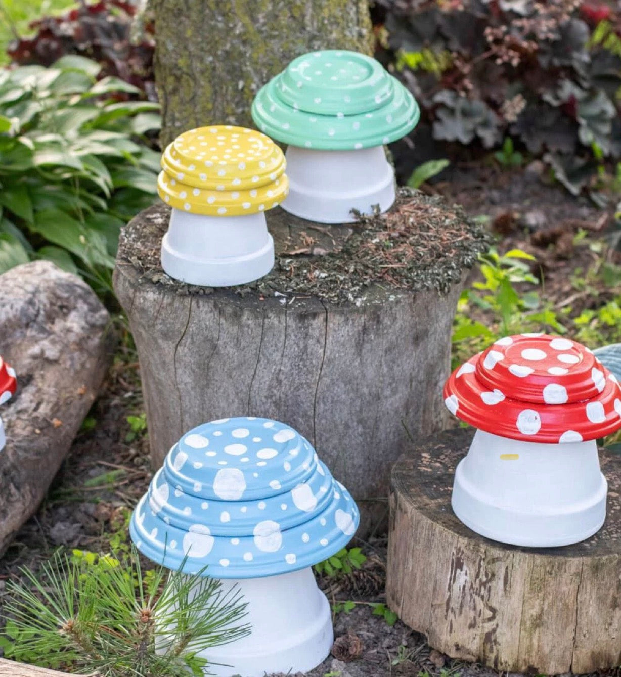 2026-07–07 1:30 PM Garden Mushrooms (Christ The King Manor Private Event)