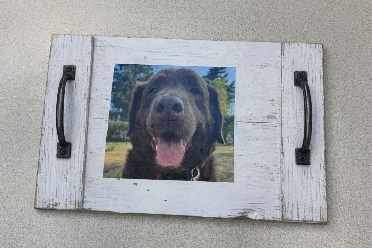 2026-05-19 6 PM Pet Tray (The Avenue West)