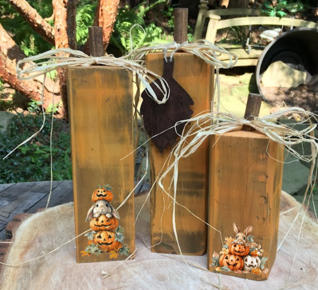 Pumpkin Trio