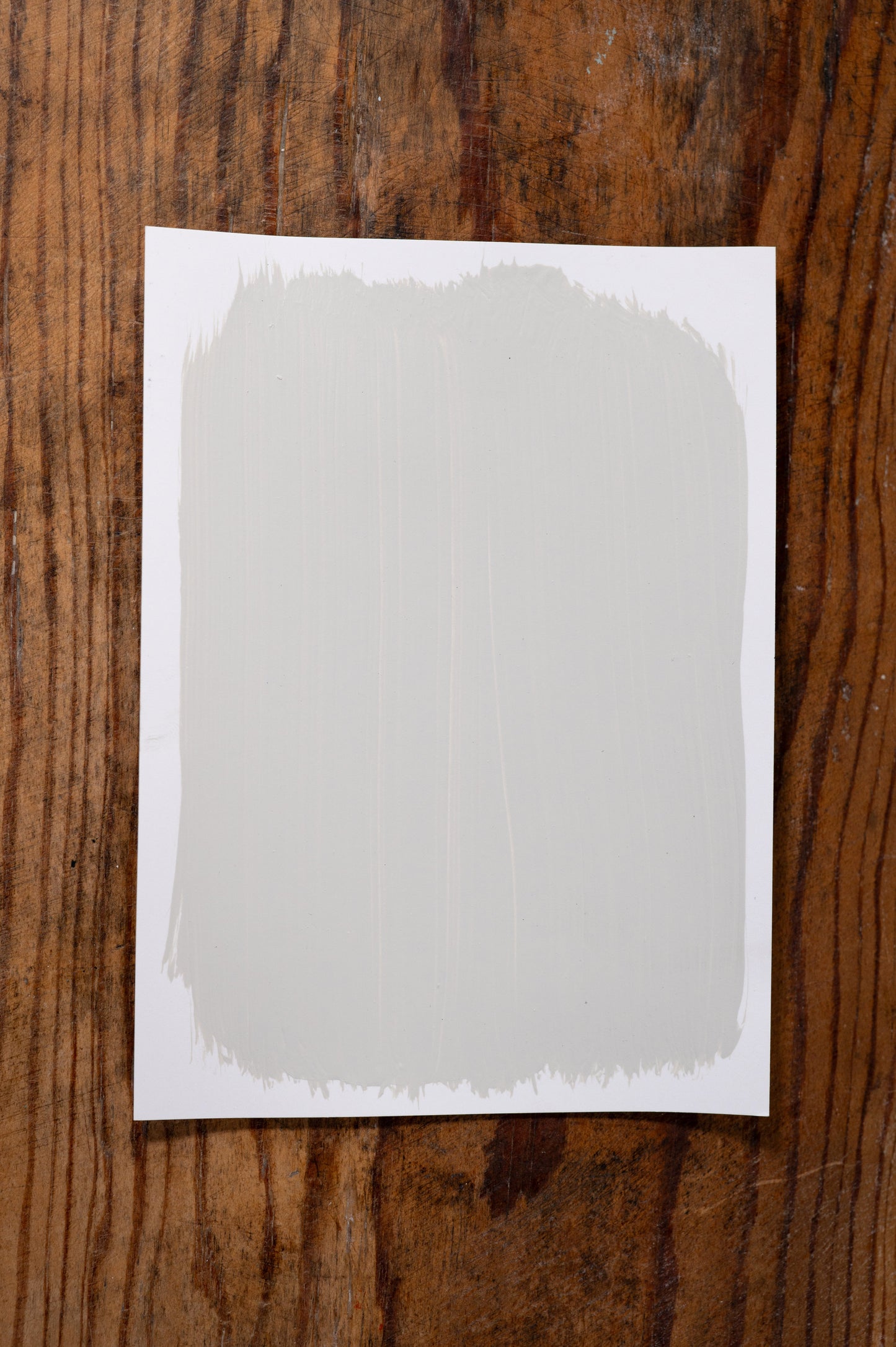 Porcelain - Manor Borne Wall Paint