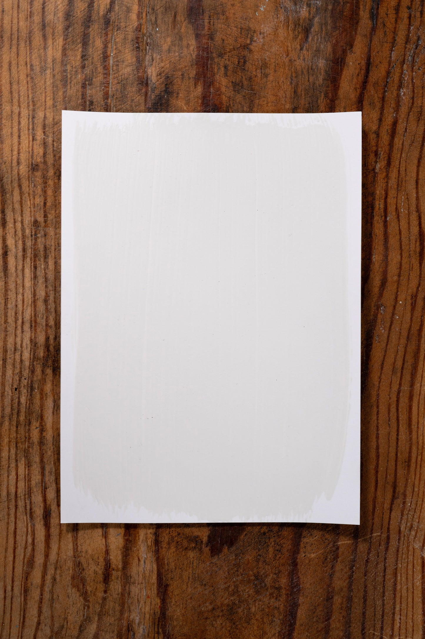 Momma's China Cup - Manor Borne Wall Paint