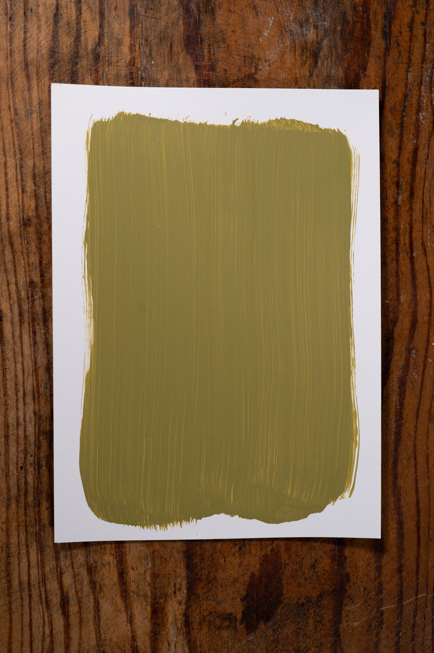 Safari Sunrise - Manor Borne Wall Paint