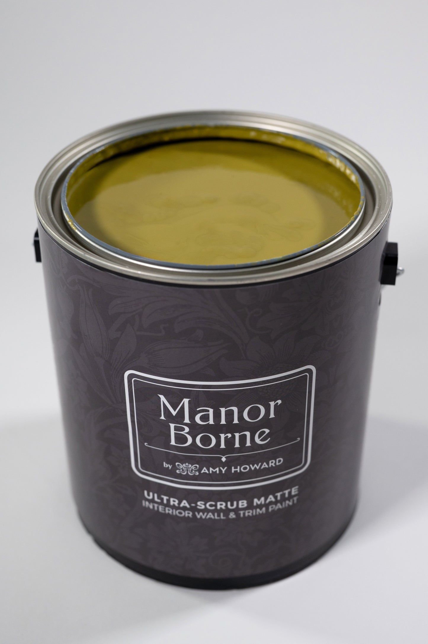 Pickleball Partner - Manor Borne Wall Paint
