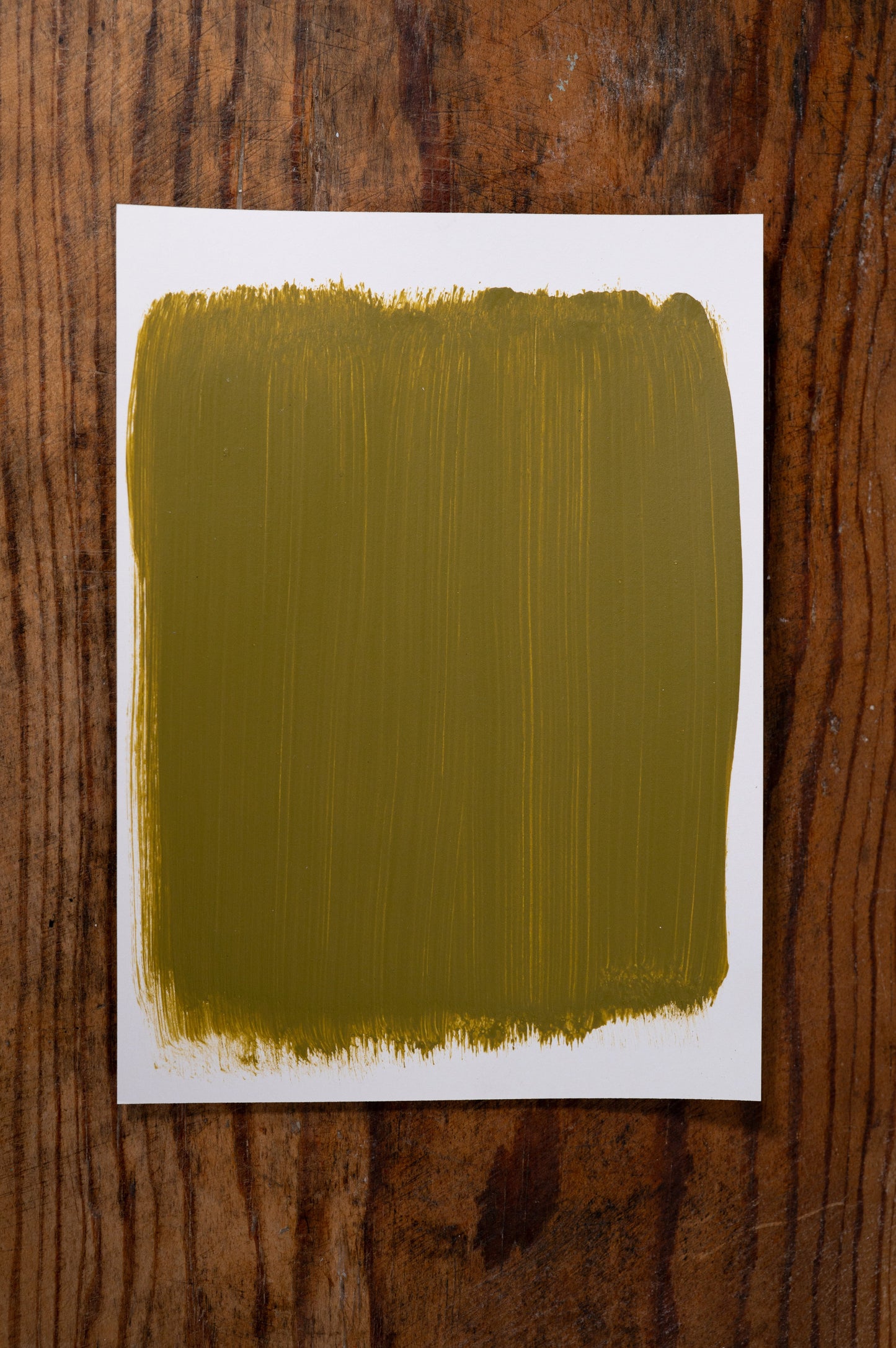 Pickleball Partner - Manor Borne Wall Paint