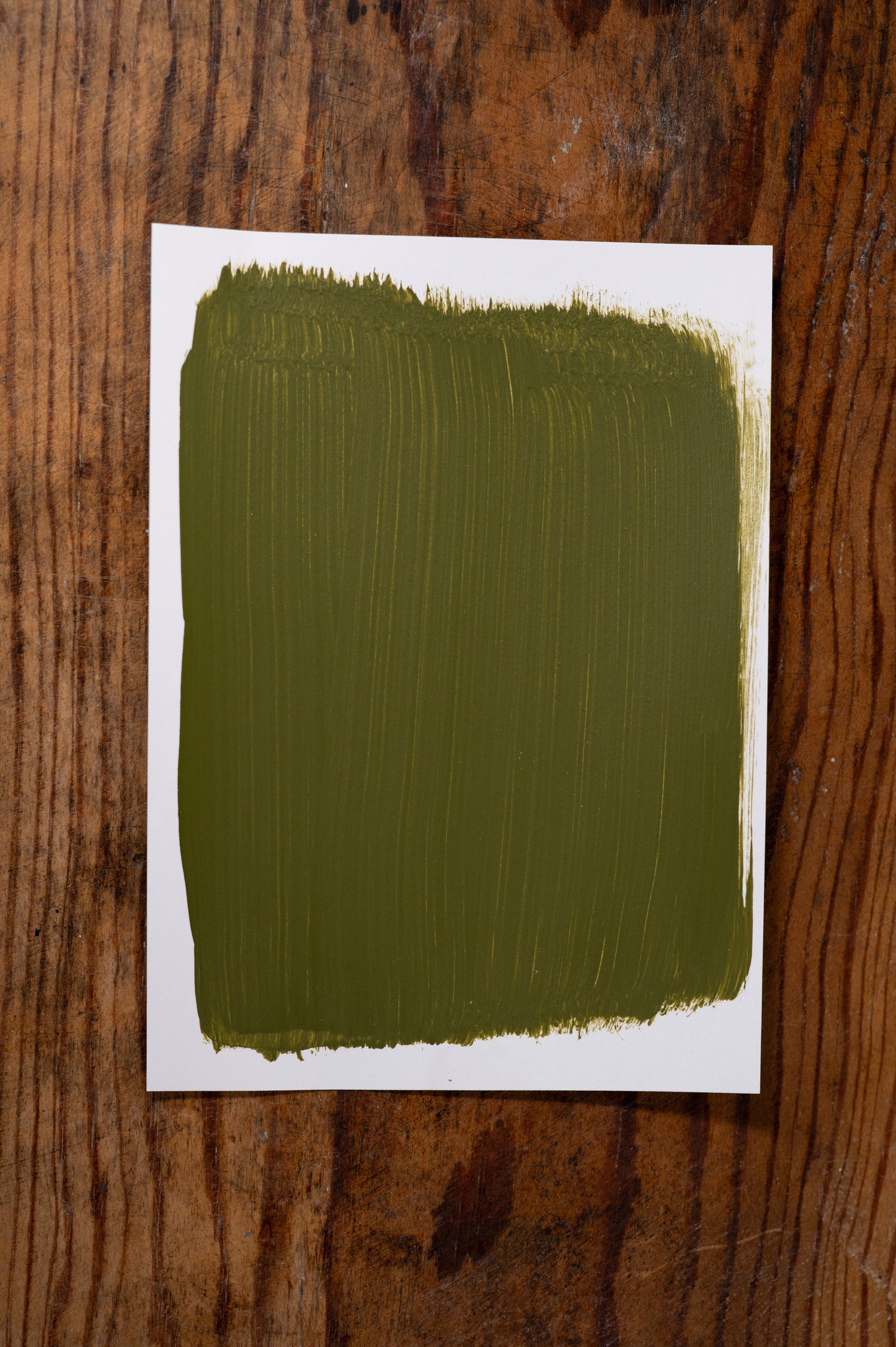 Picnic Date - Manor Borne Wall Paint