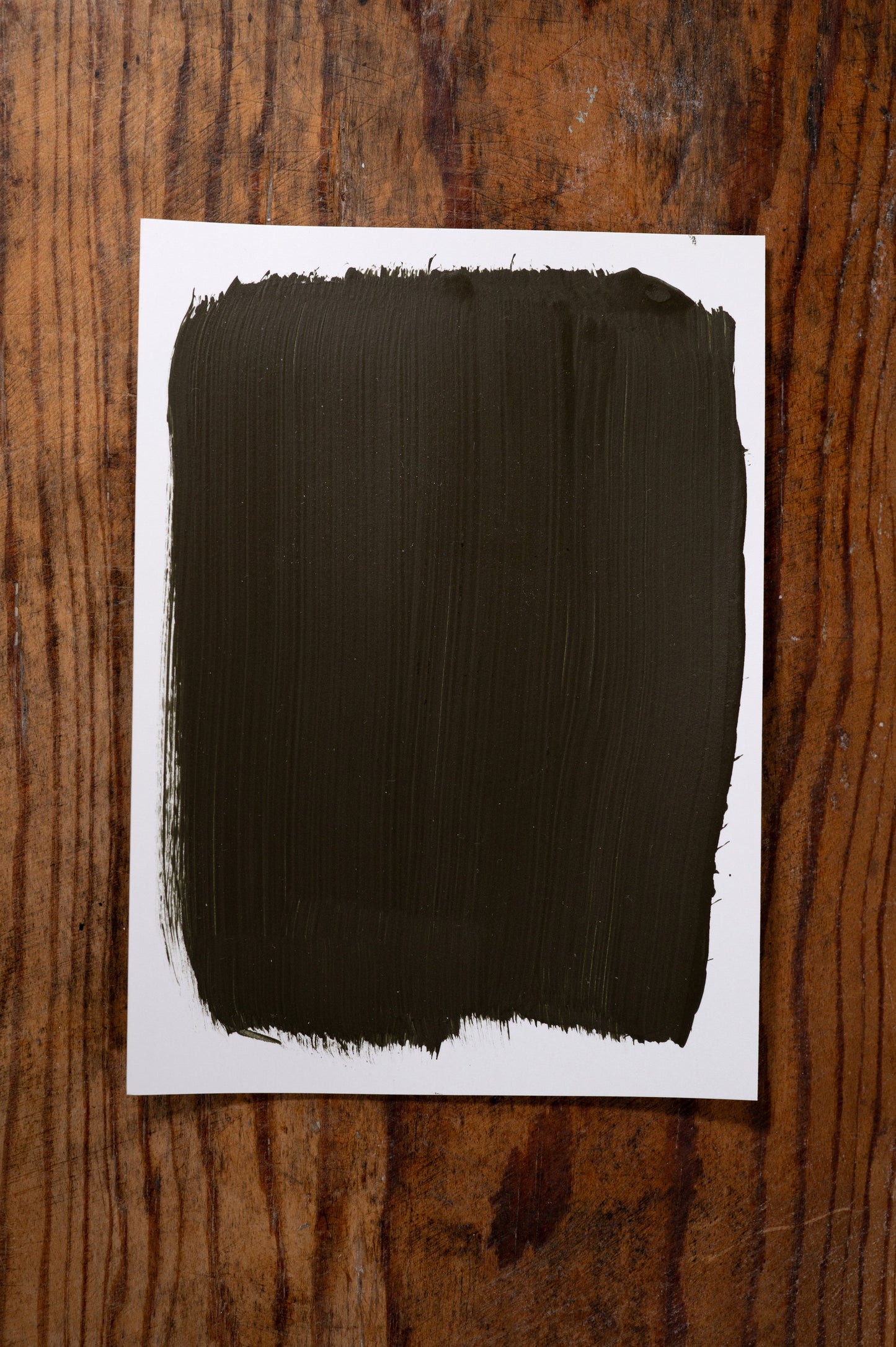 Cafe Chocolate - Manor Borne Wall Paint