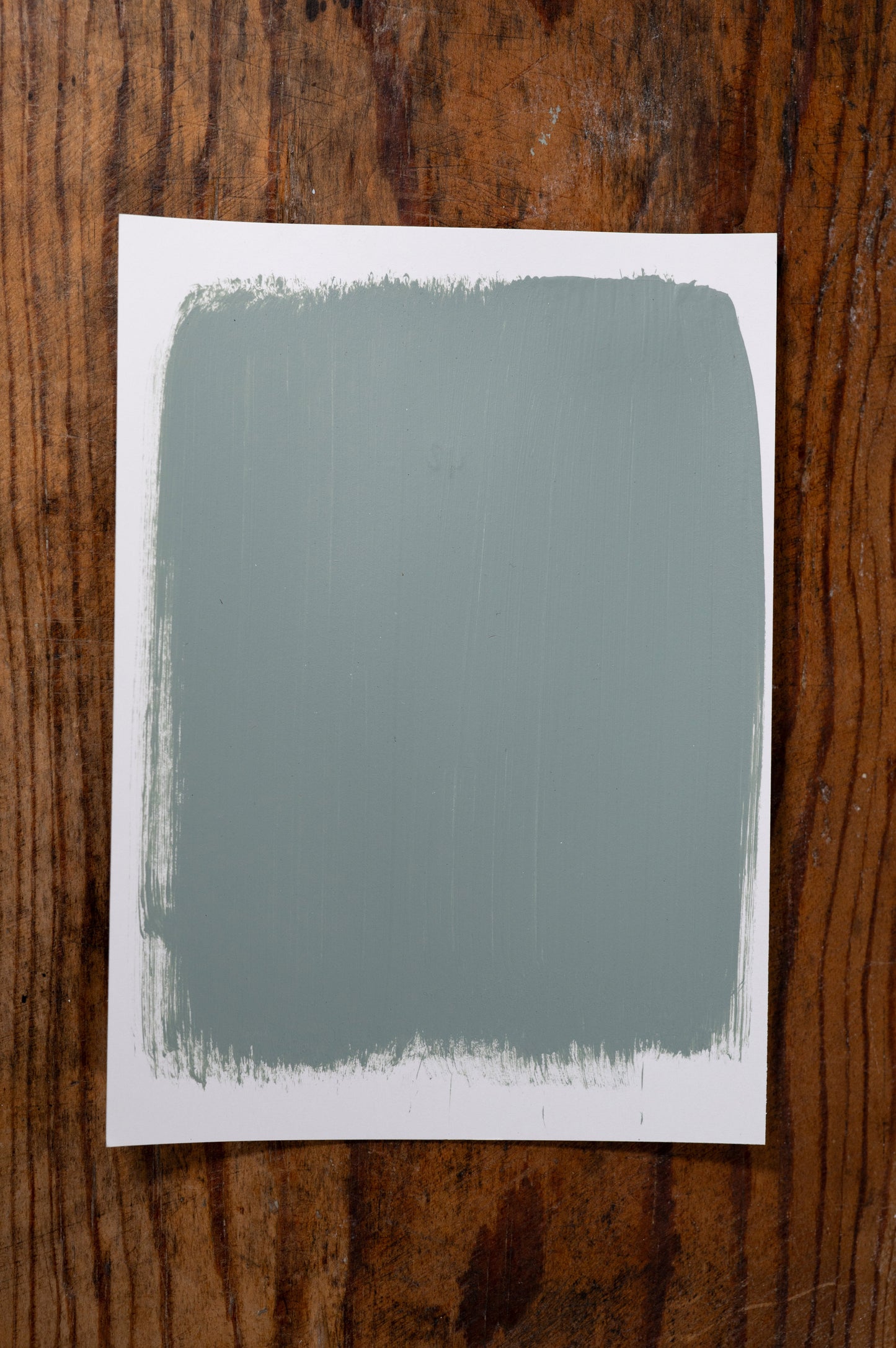 Morning Rain - Manor Borne Wall Paint