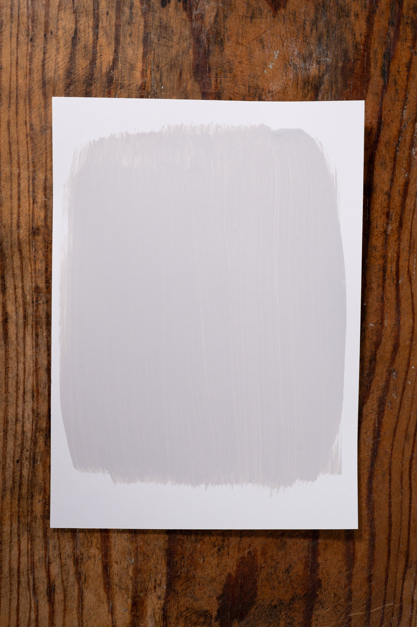 Sweater Weather - Manor Borne Wall Paint