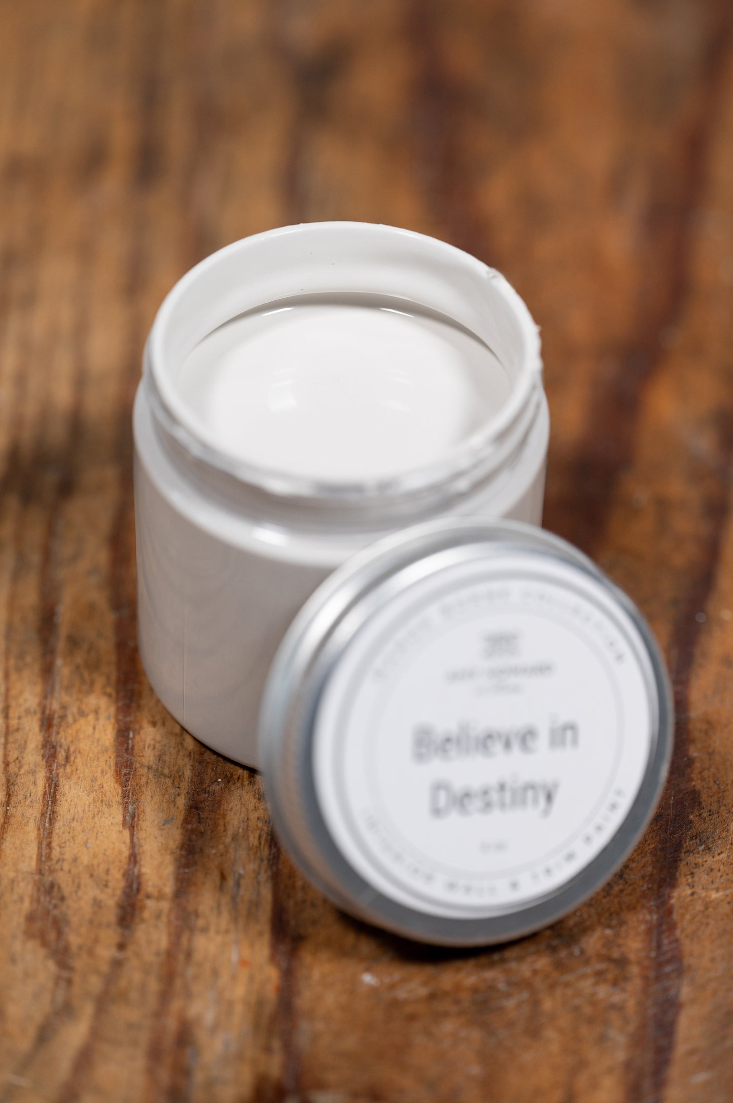 Believe in Destiny - Manor Borne Wall Paint