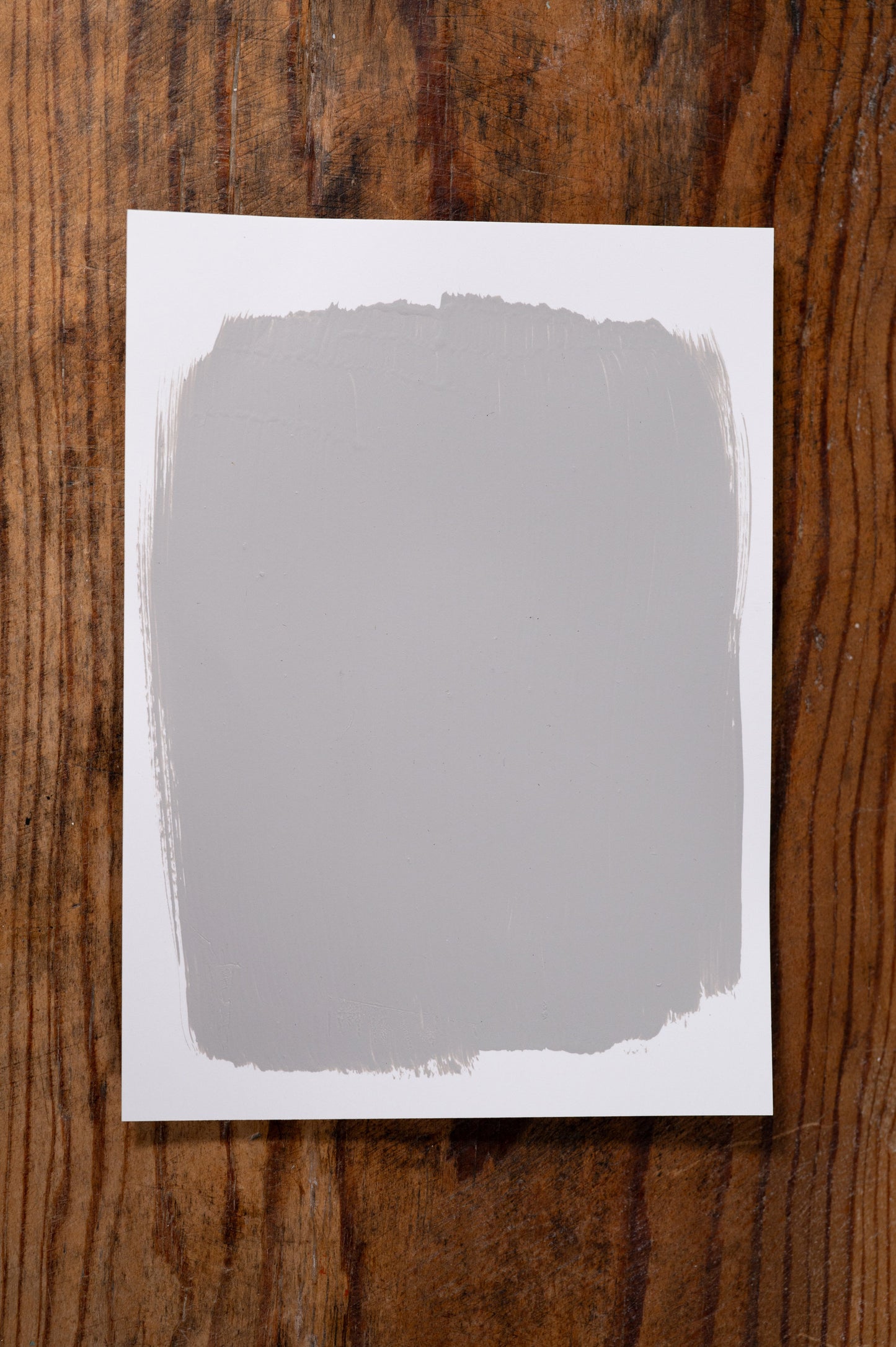 Willow Whisper - Manor Borne Wall Paint