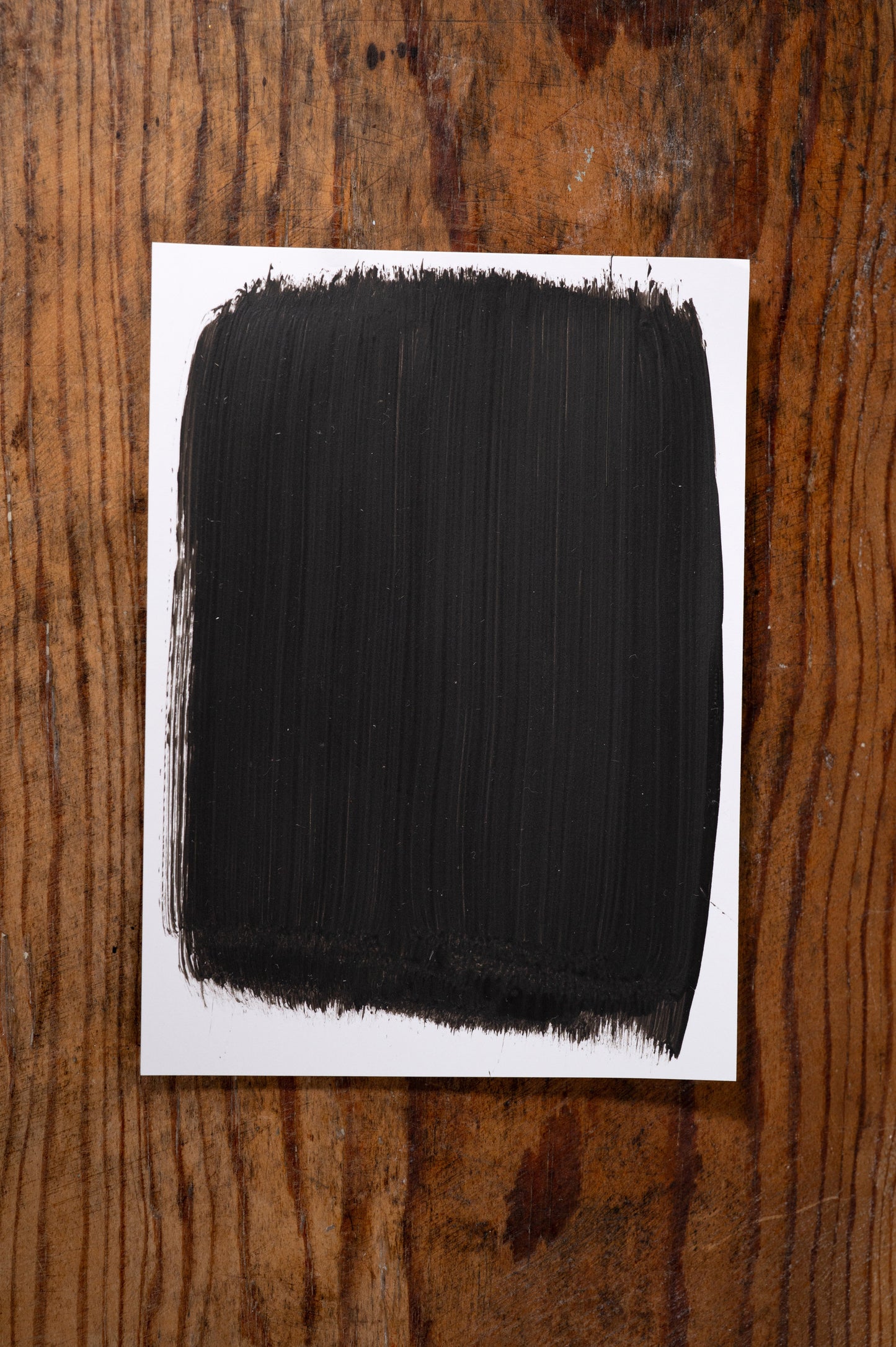 Girls Night Out - Manor Borne Wall Paint