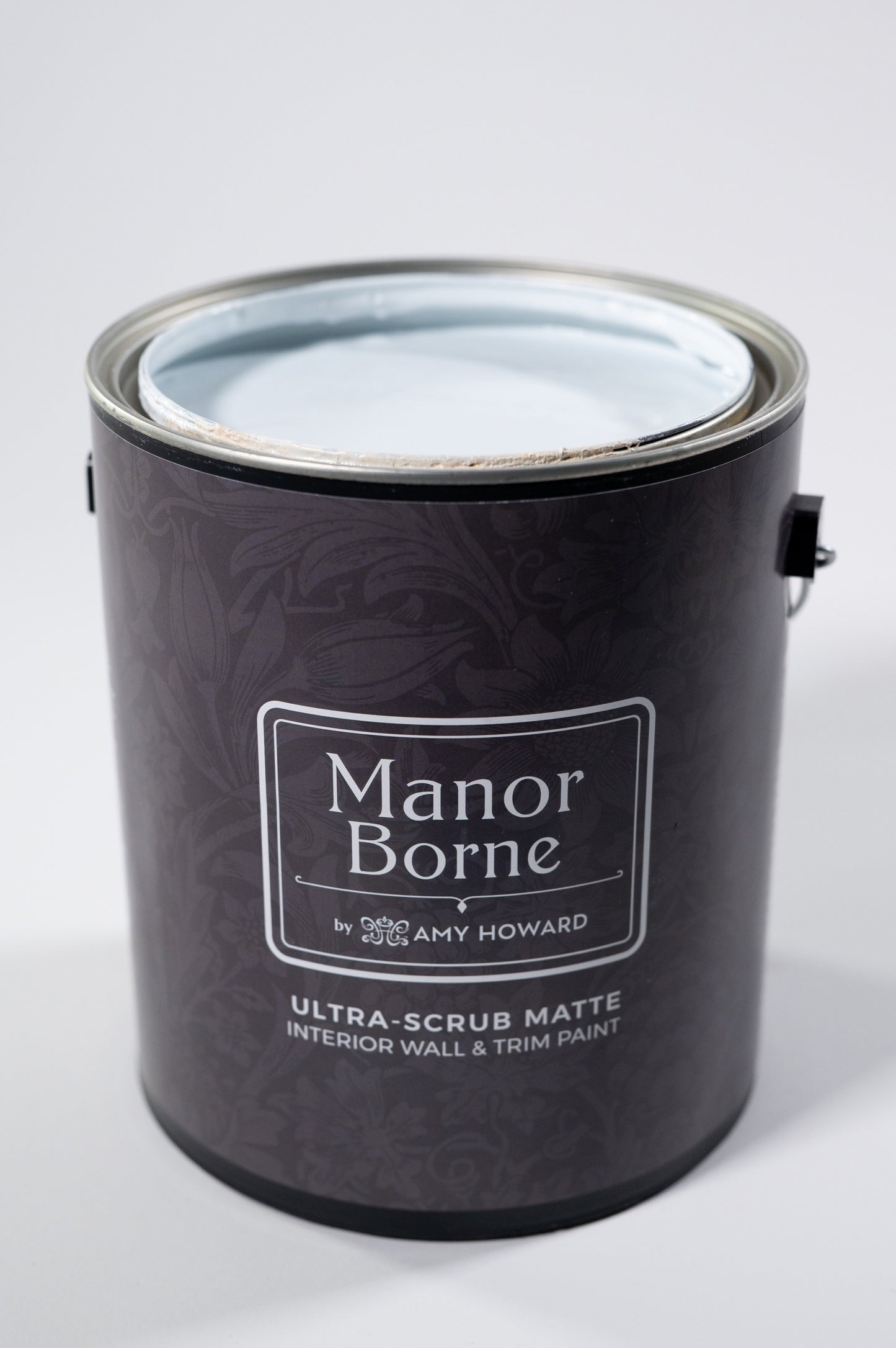 Birdie's Song - Manor Borne Wall Paint