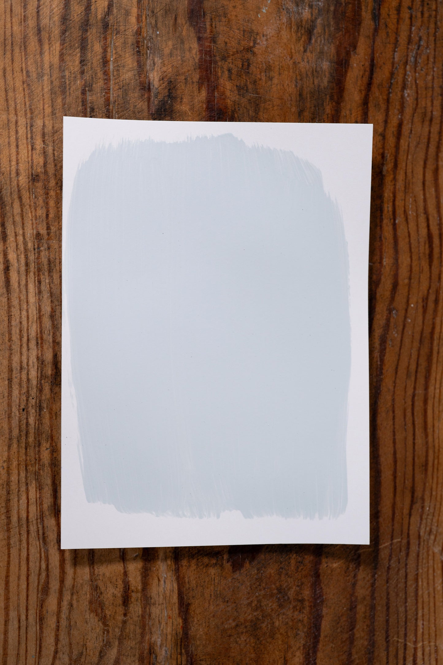 Birdie's Song - Manor Borne Wall Paint