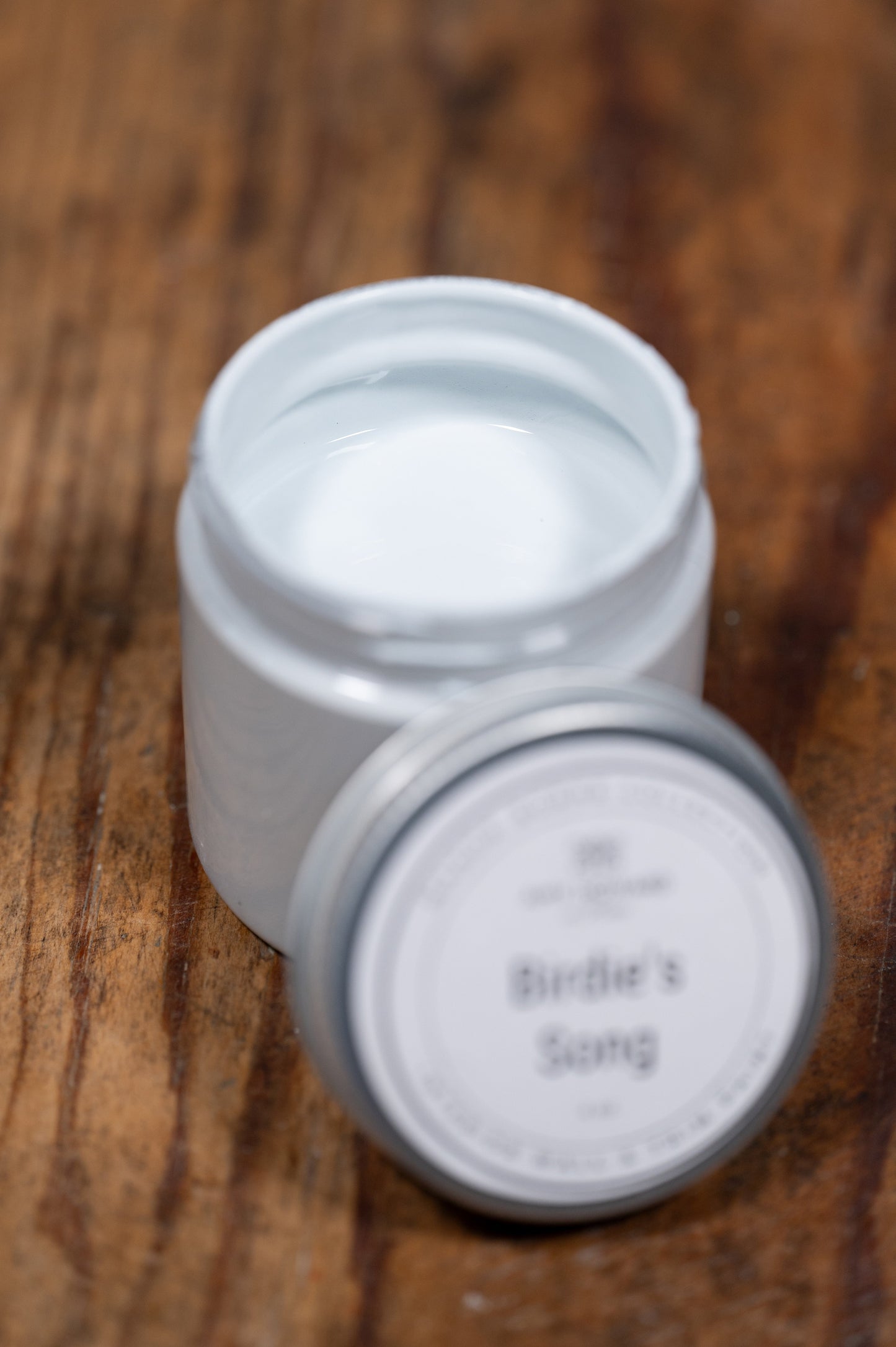 Birdie's Song - Manor Borne Wall Paint