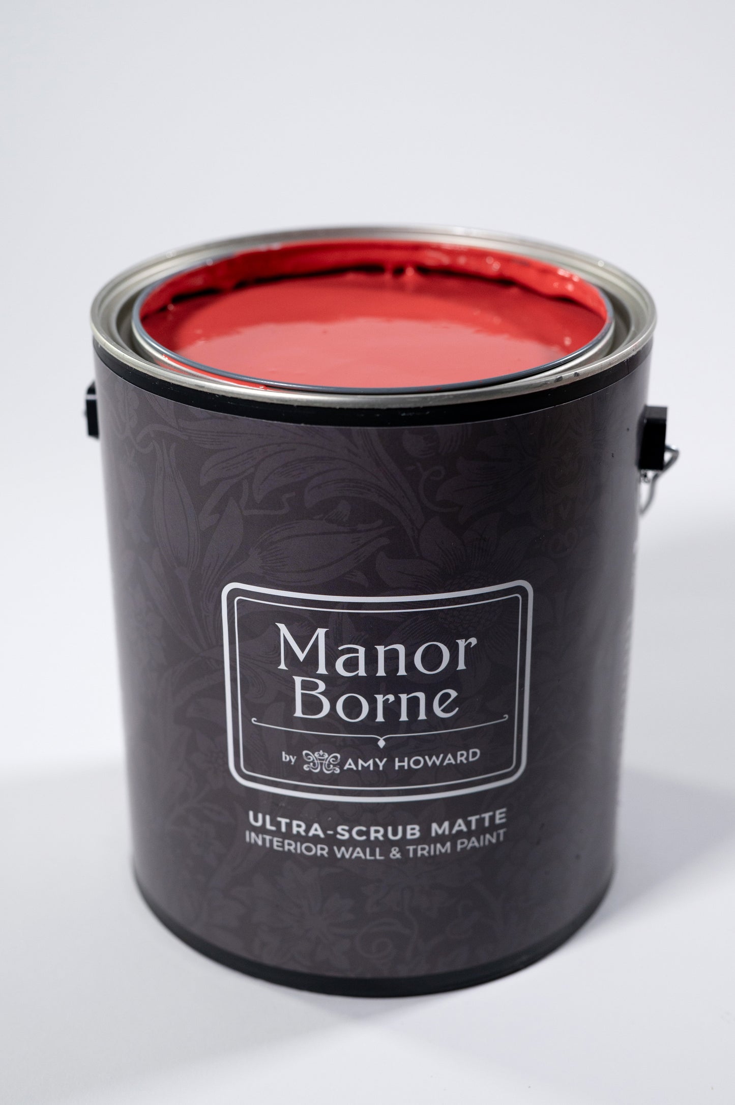 Loving Every Moment - Manor Borne Wall Paint