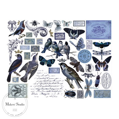 Blue Bird - Color Transfer 16