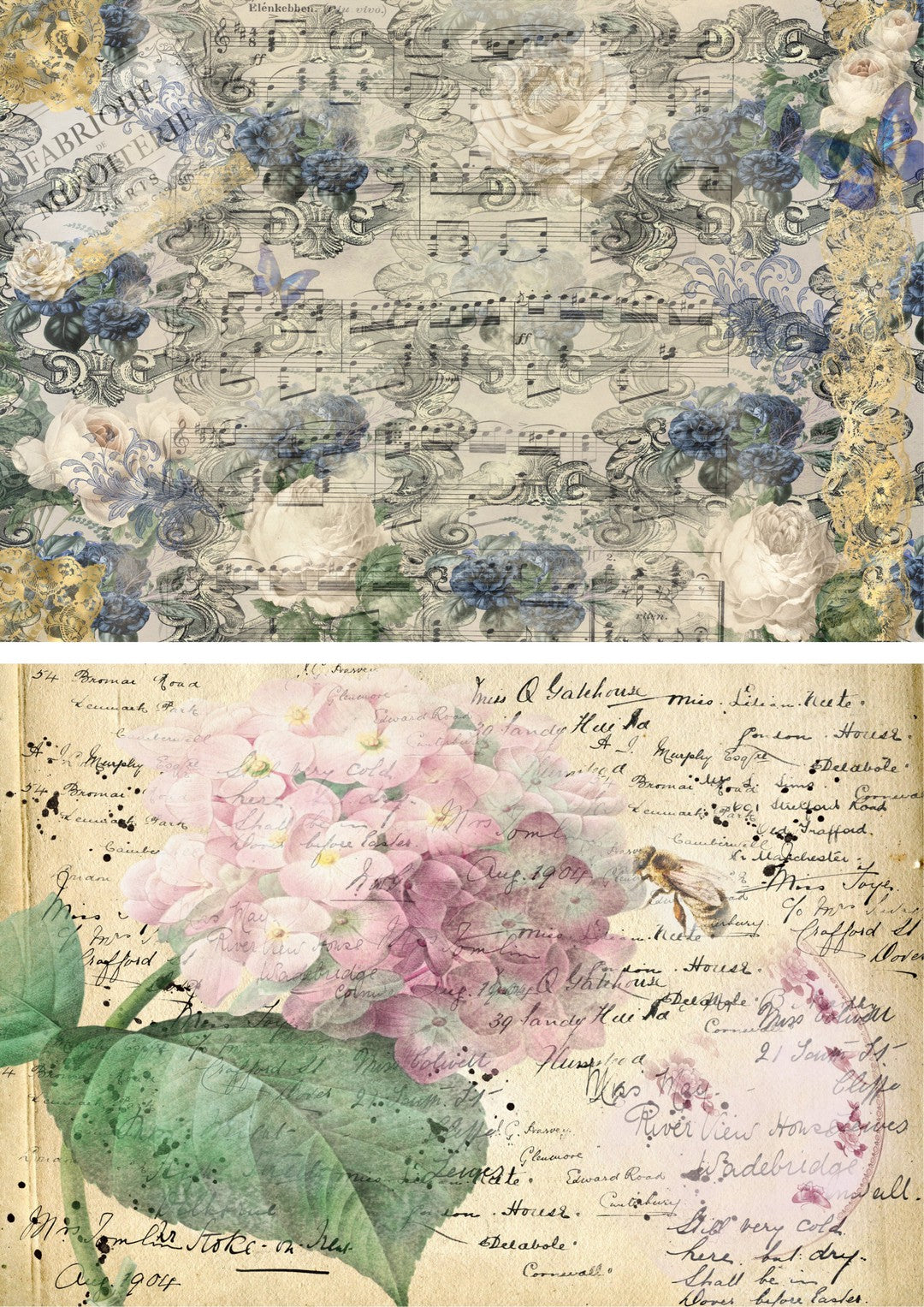 Castle Dance Hydrangea Combo Minis (#A074)