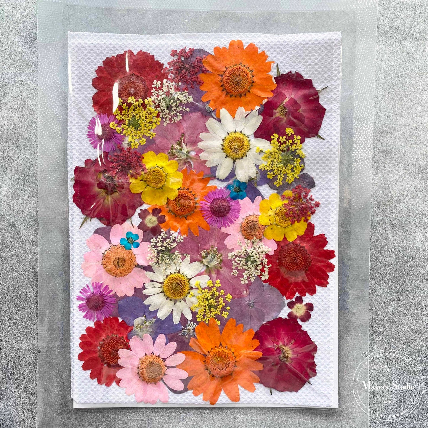 Orange & Pink Multi Dried Flowers