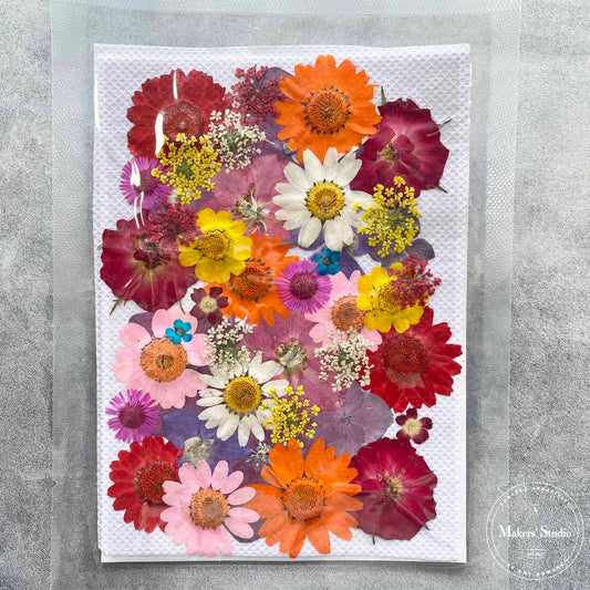 Orange & Pink Multi Dried Flowers