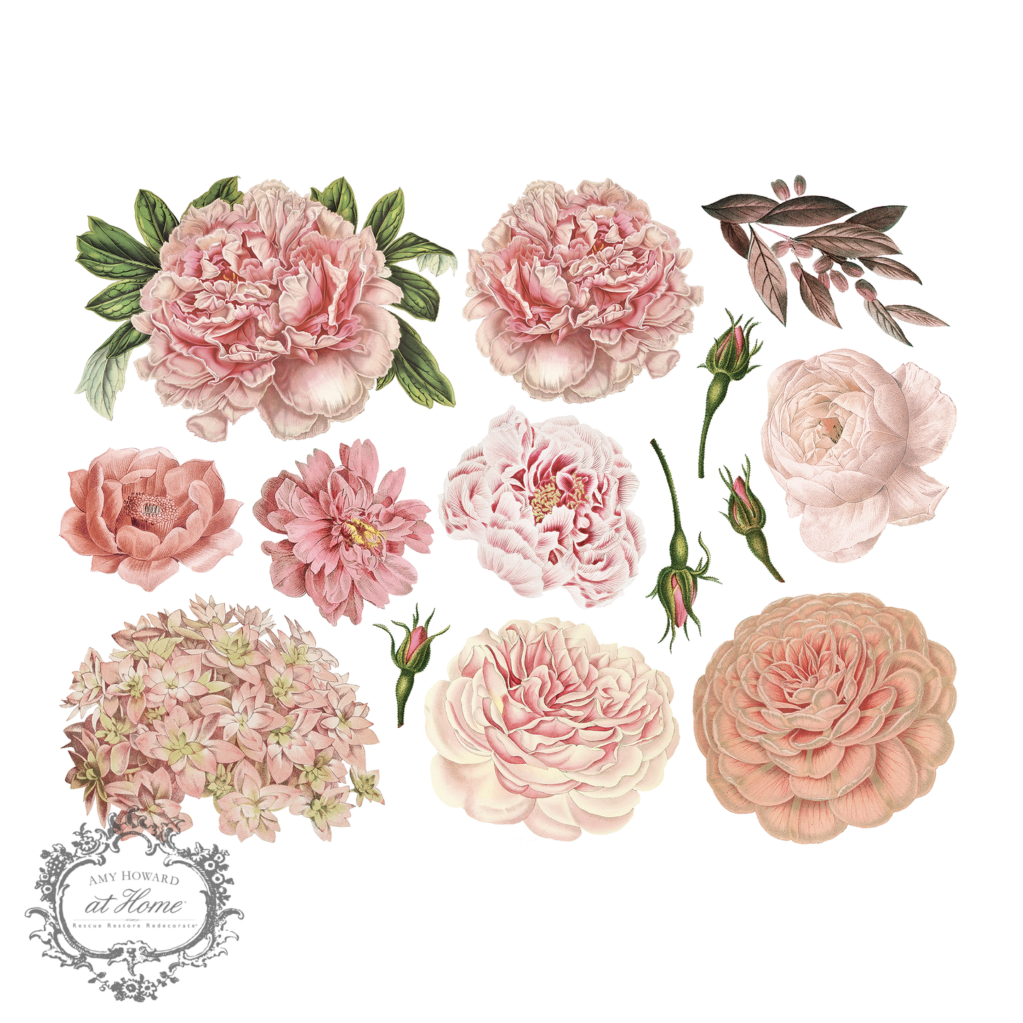 Full Bloom - Color Transfer 16"x12"