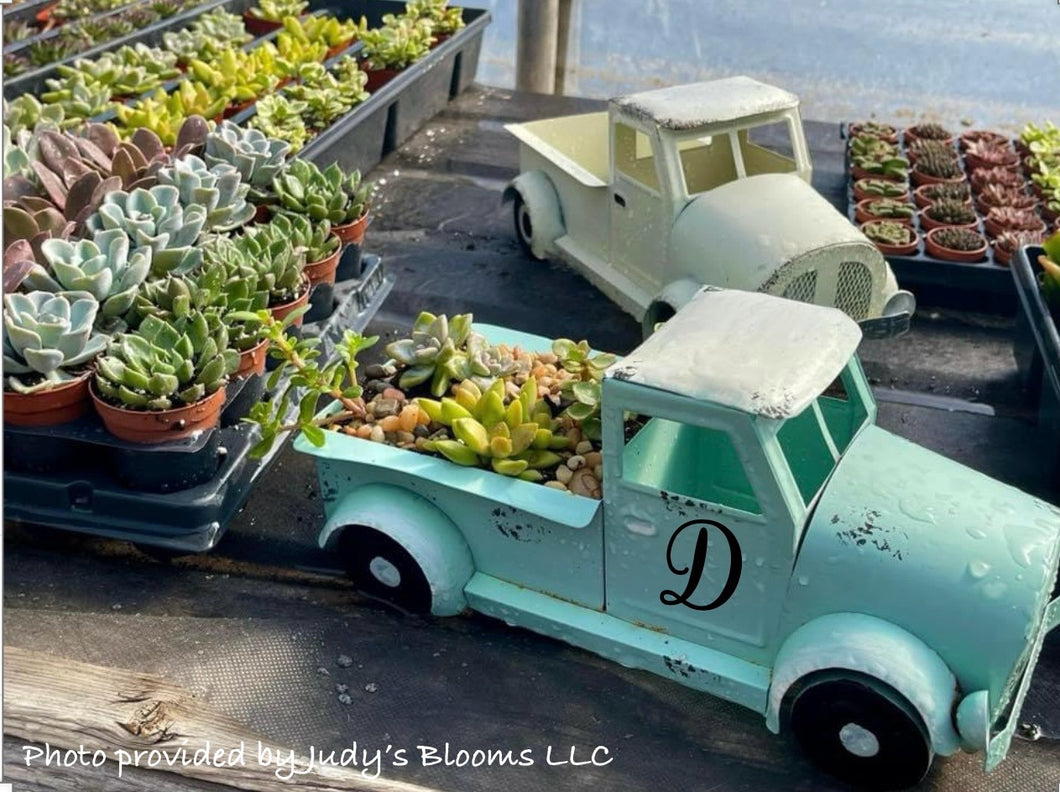 Succulent Truck Planter Workshop