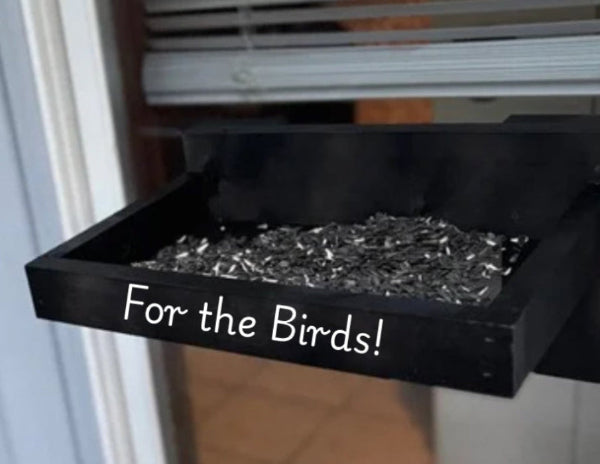 Bird Feeder Workshop