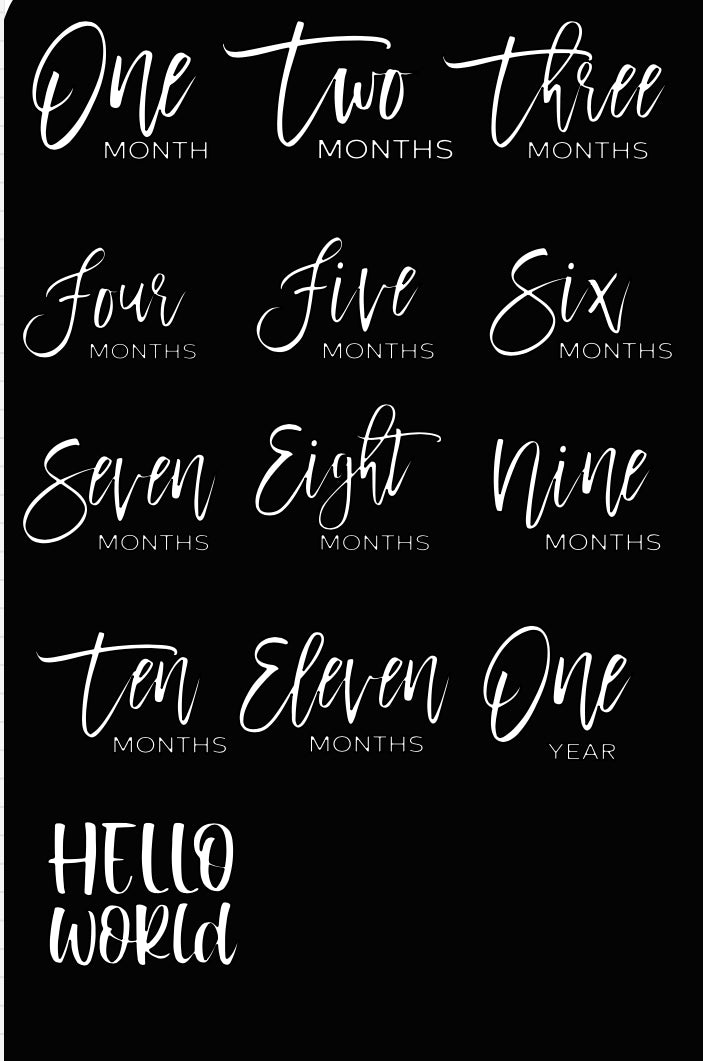 Baby Milestone Discs