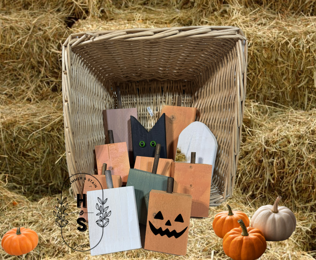 Pumpkin Patch Workshop ALL AGES WELCOME