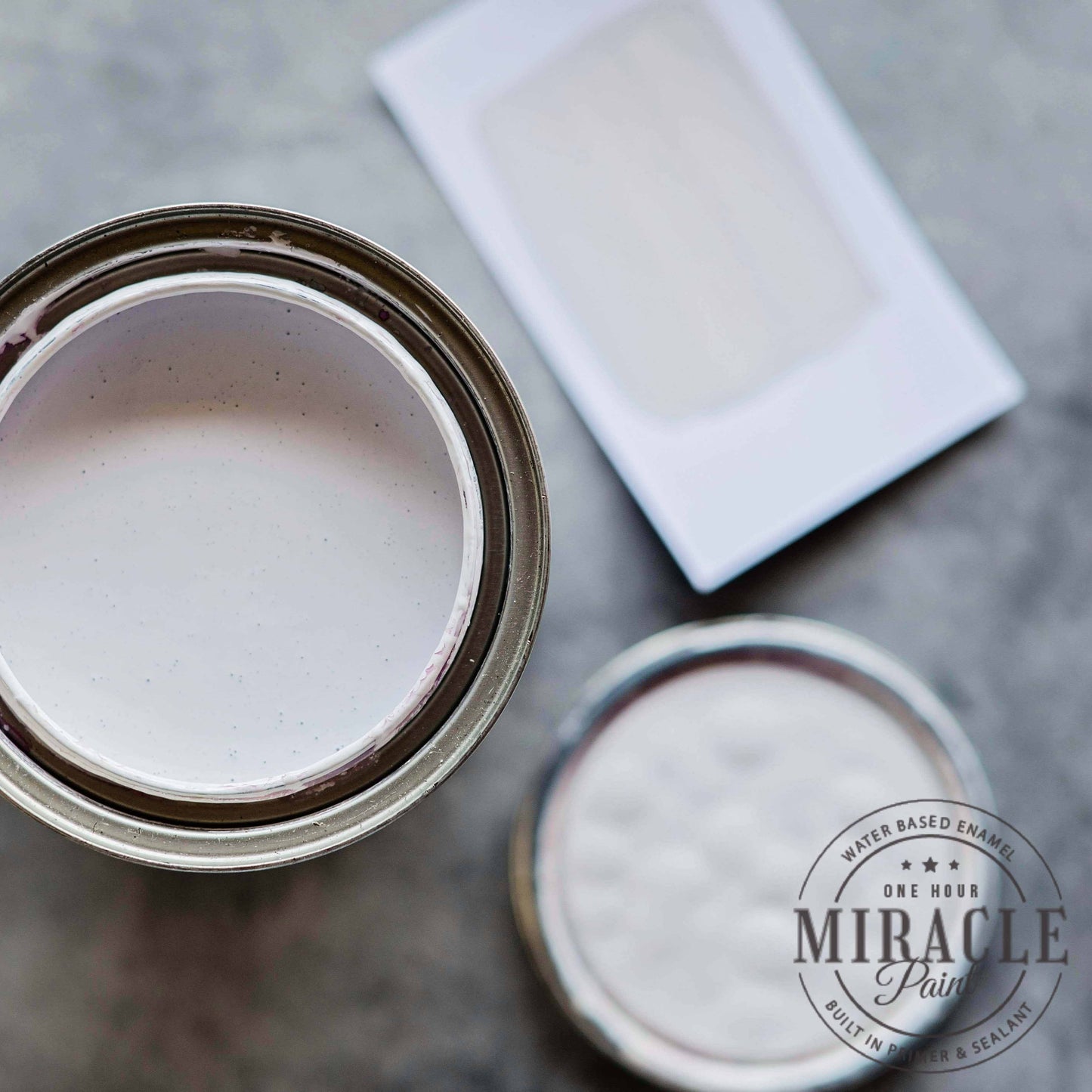 Miracle Paint - Pardon My French