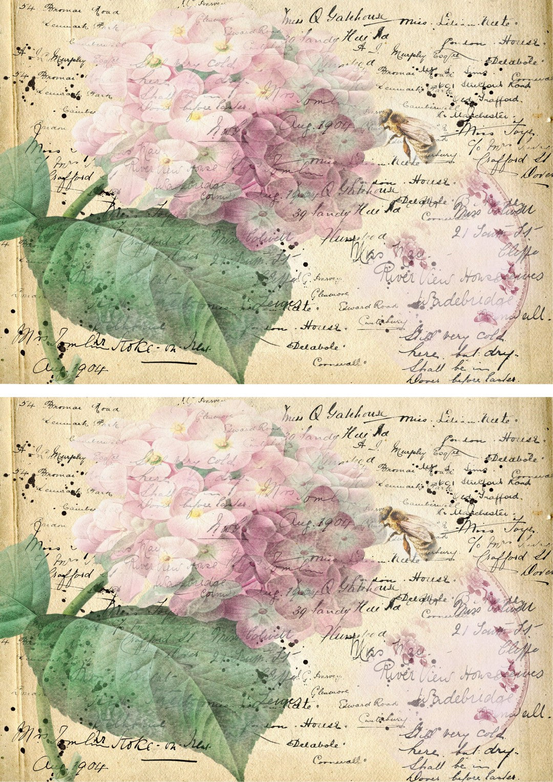 Bee a Hydrangea Double Duo Combo Sheet (#A019)