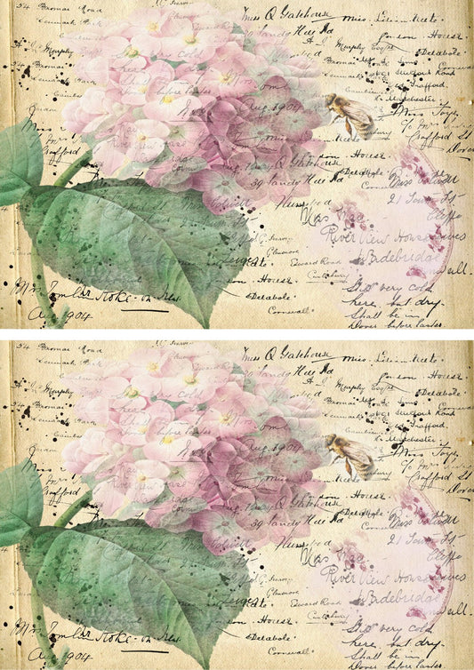 Bee a Hydrangea Double Duo Combo Sheet (#A019)