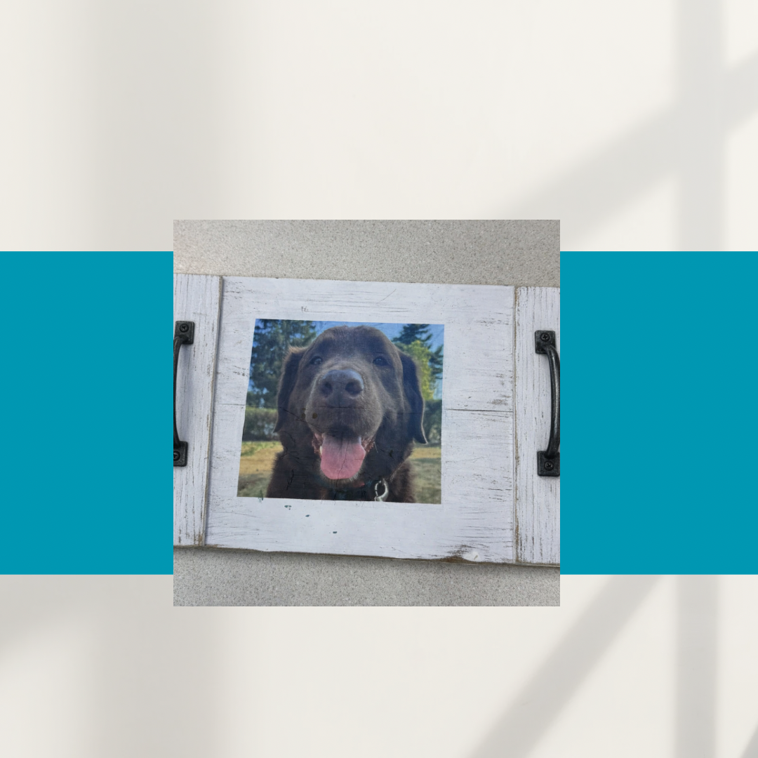 2026-05-19 6 PM Pet Tray (The Avenue West)