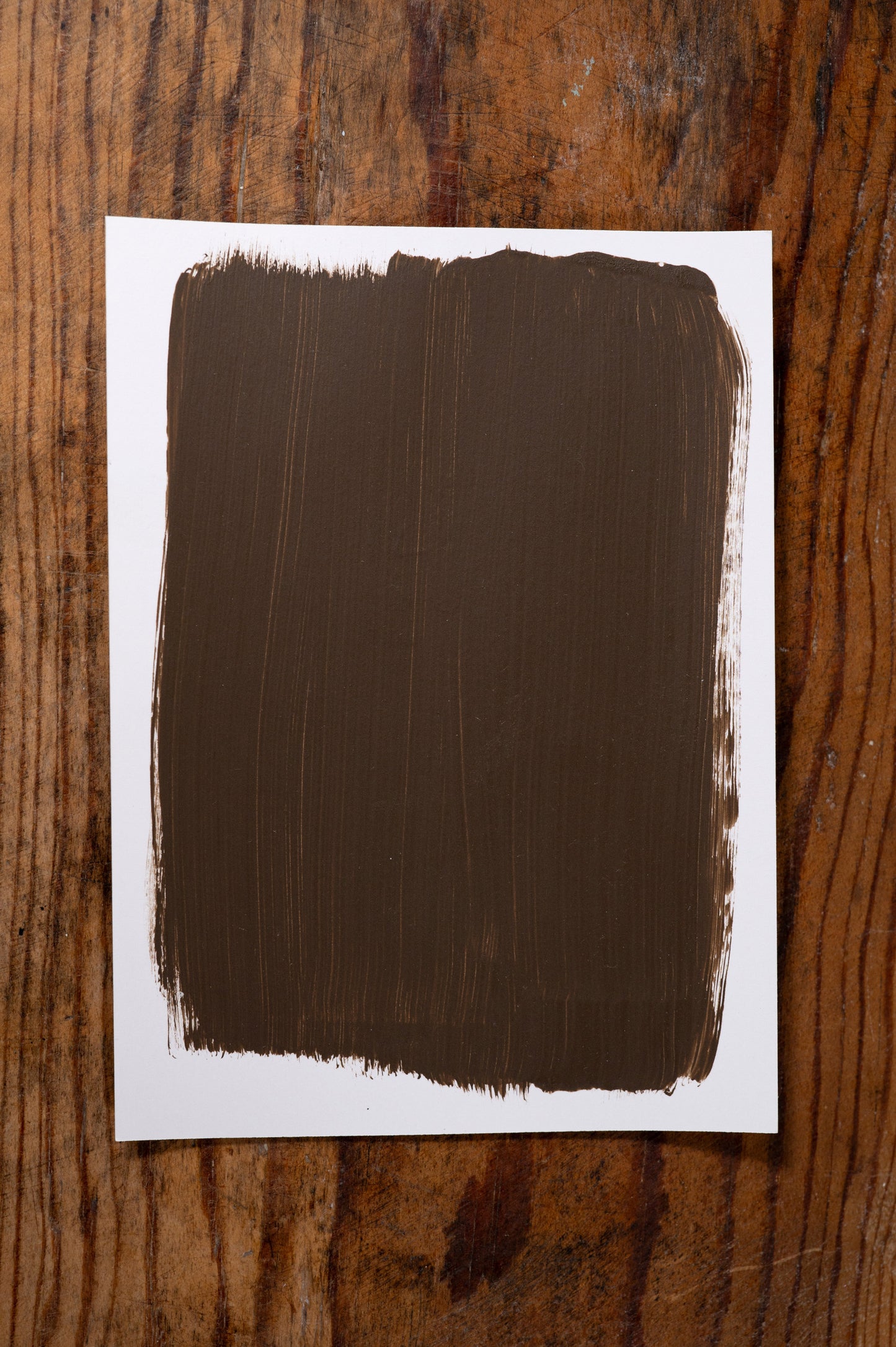 Proof in the Pudding - Manor Borne Wall Paint