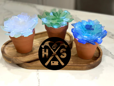 09-18-25 6 PM  Sea Glass Succulent Workshop (The Avenue West, Dubois)