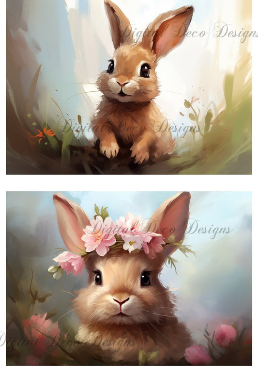 Bunny Love, Harry and Sally Combo (#A062)