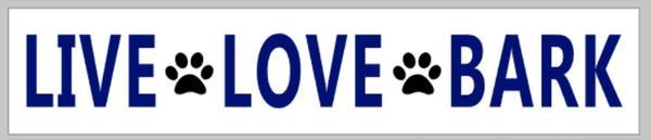 Single Plank Workshop