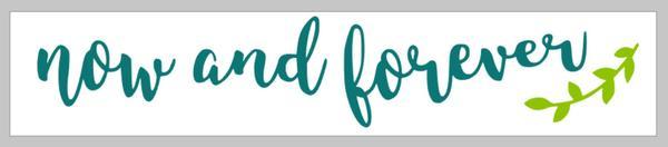 Single Plank Workshop