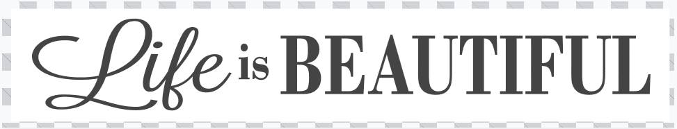 Single Plank Workshop