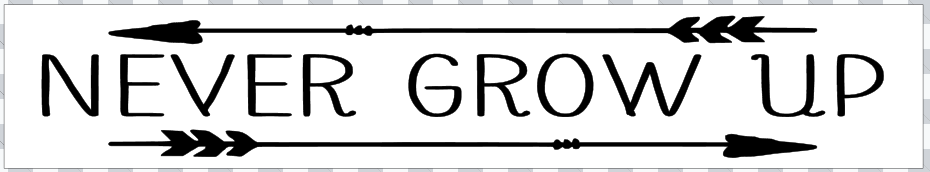 Single Plank Workshop