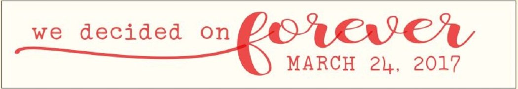 Single Plank Workshop