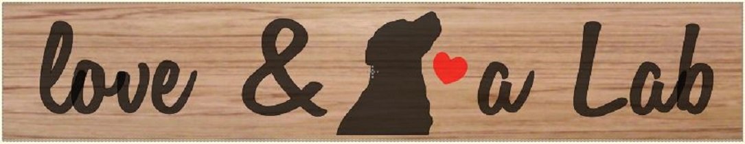 Single Plank Workshop