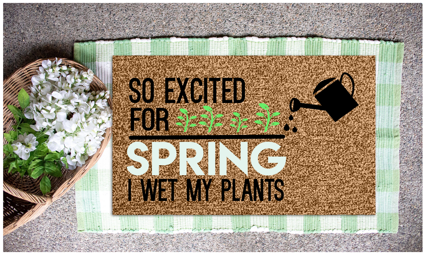 Spring Doormat Workshop