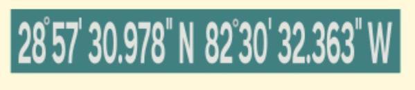 Single Plank Workshop